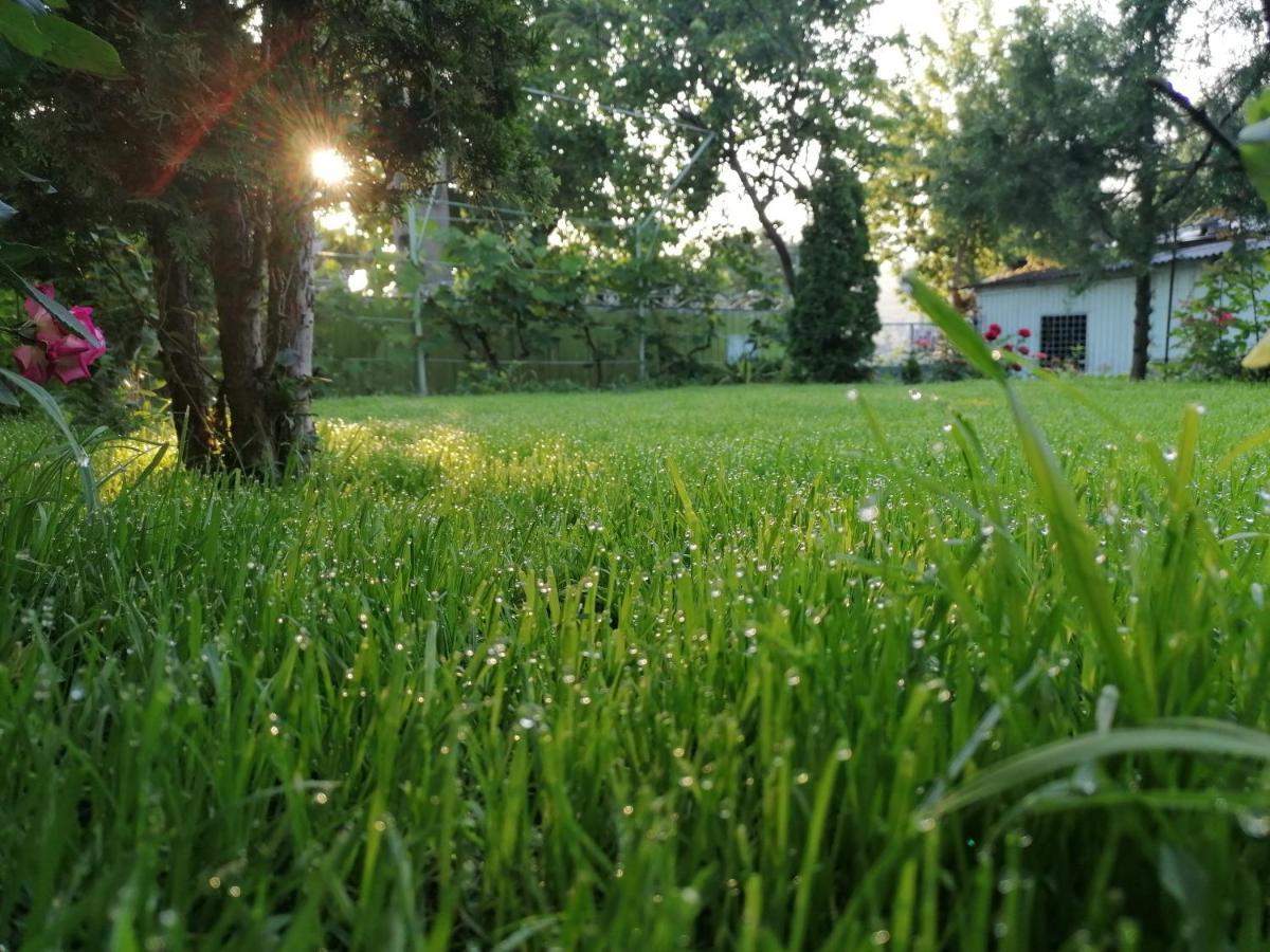 Agropensiunea Vila Cristina Niculitel Bagian luar foto