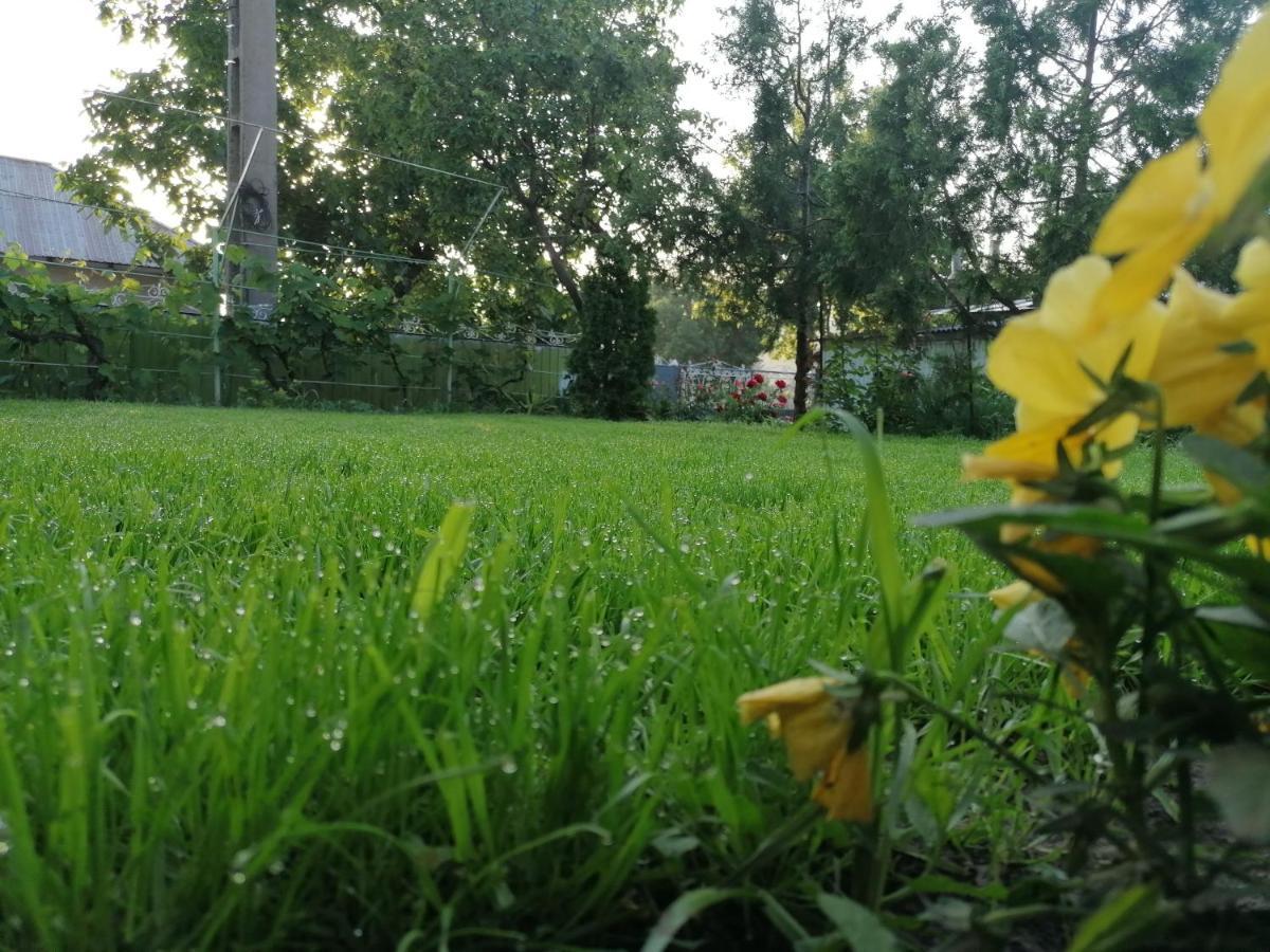 Agropensiunea Vila Cristina Niculitel Bagian luar foto